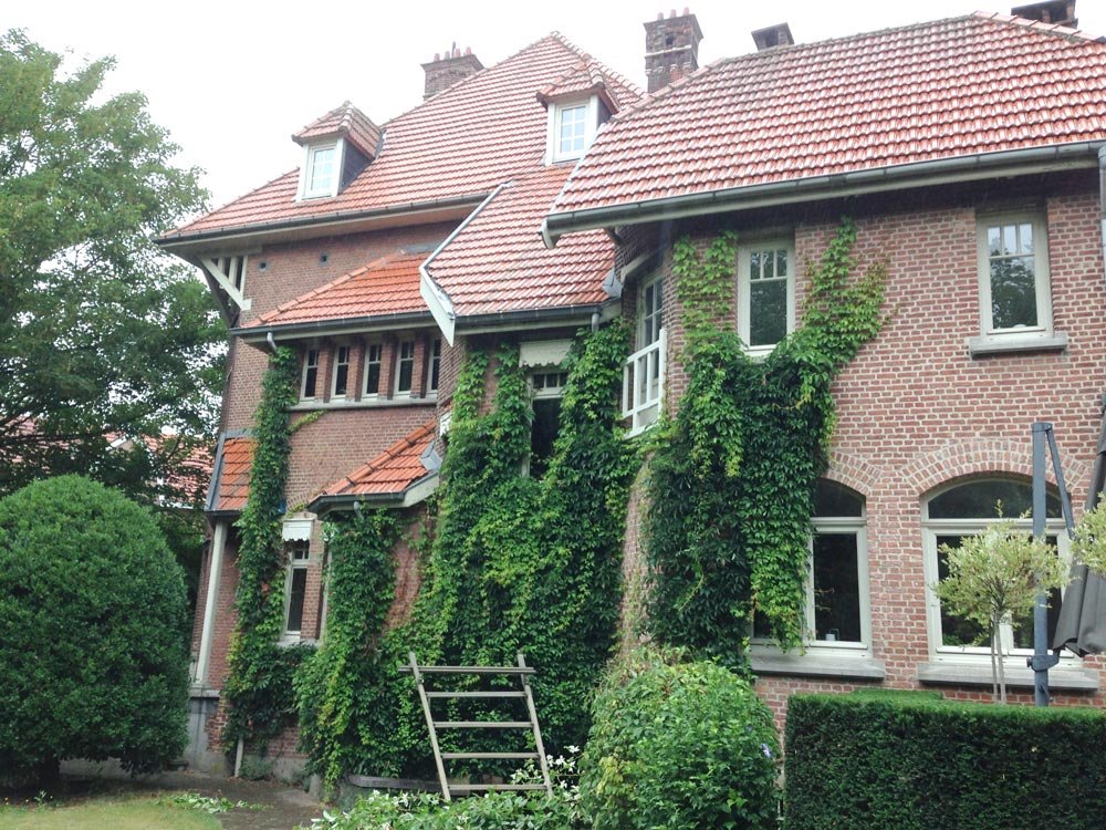 Onderhoud-tuin-groenvisie-v5